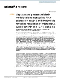 Cisplatin and Phenanthriplatin Modulate Long-Noncoding