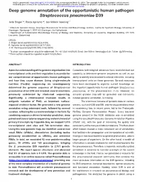 Deep Genome Annotation of the Opportunistic Human Pathogen Streptococcus Pneumoniae D39