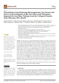 Dissimilatory Iron-Reducing Microorganisms Are Present And