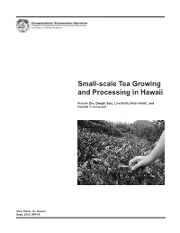 Small-Scale Tea Growing and Processing in Hawaii
