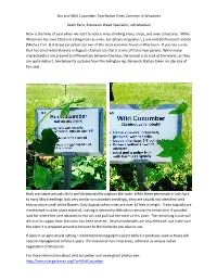 Bur and Wild Cucumber; Two Native Vines Common in Wisconsin