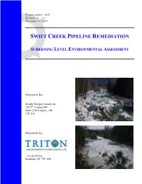 Swift Creek Pipeline Remediation