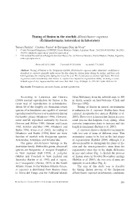 Timing of Fission in the Starfish Allostichaster Capensis (Echinodermata:Asteroidea) in Laboratory