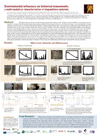 Environmental Influences on Historical Monuments
