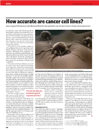 How Accurate Are Cancer Cell Lines? Some Argue That Tumour Cells Obtained Directly from Patients Are the Best Way to Study Cancer Genomics