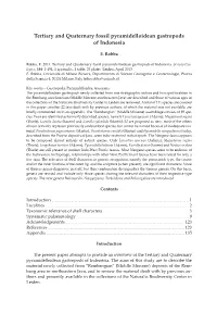 Tertiary and Quaternary Fossil Pyramidelloidean Gastropods of Indonesia