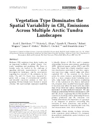 Vegetation Type Dominates the Spatial Variability in CH4 Emissions Across Multiple Arctic Tundra Landscapes