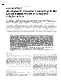 An Oligarchic Microbial Assemblage in the Anoxic Bottom Waters of a Volcanic Subglacial Lake