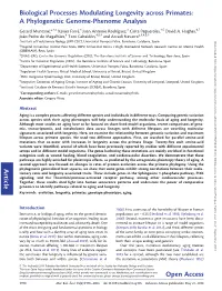 Biological Processes Modulating Longevity Across Primates