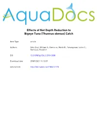Effects of Net Depth Reduction to Bigeye Tuna (Thunnus Obesus) Catch