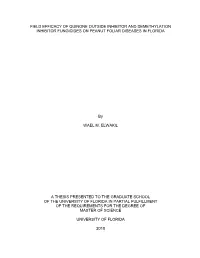 University of Florida Thesis Or Dissertation