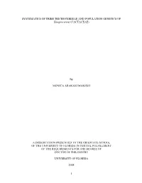 University of Florida Thesis Or Dissertation Formatting