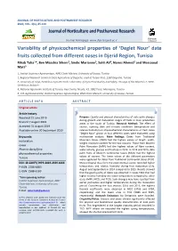 Variability of Physicochemical Properties of 'Deglet Nour' Date Fruits Collected from Different Oases in Djerid Region, Tuni