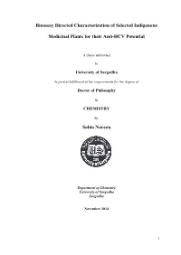 Sobia Noreen Thesis Initial Pages Final.Pdf