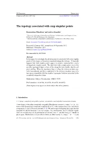 The Topology Associated with Cusp Singular Points