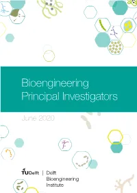 Bioengineering Principal Investigators