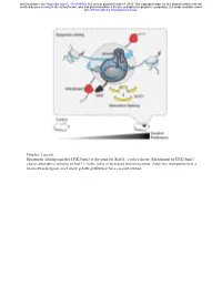 Set2-Mediated Alternative Splicing of Srsf11 Regulates Cocaine Reward Behavior
