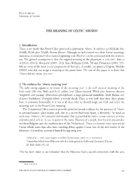 The Meaning of Celtic *Eburos