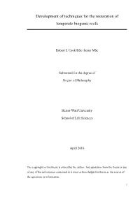 Development of Techniques for the Restoration of Temperate Biogenic Reefs