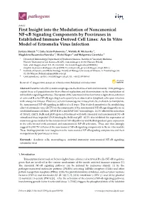 First Insight Into the Modulation of Noncanonical NF-Κb Signaling