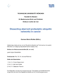 Dissecting Aberrant Proteolytic Ubiquitin Networks in Cancer