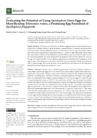 Evaluating the Potential of Using Spodoptera Litura Eggs for Mass-Rearing Telenomus Remus, a Promising Egg Parasitoid of Spodoptera Frugiperda