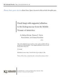 Fossil Fungi with Suggested Affinities to the Endogonaceae from the Middle Triassic of Antarctica