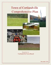 Comprehensive Plan (Draft)