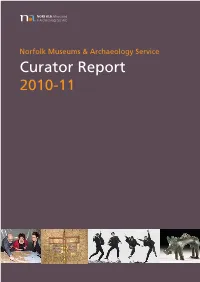 Curator Report 2010-11