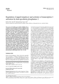 Regulation of Signal Transducer and Activator of Transcription 3 Activation by Dual-Specificity Phosphatase 3
