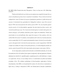 ABSTRACT NI, SIHUI. RNA Translocation