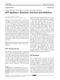 ATP Synthase: Structure,Abstract: Functionlet F Denote a Eld and and Let Inhibitionv Denote a Vector Space Over F with Nite Positive Dimension