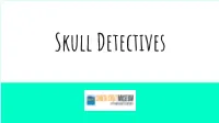 Skull Detectives Slideshow