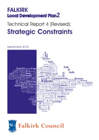 Strategic Constraints