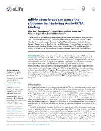 Mrna Stem-Loops Can Pause the Ribosome by Hindering A-Site Trna