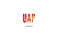 Uapcompany.Com UAP
