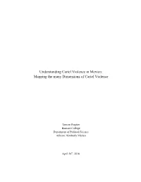 Understanding Cartel Violence in Mexico: Mapping the Many Dimensions of Cartel Violence