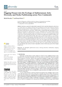 Digging Deeper Into the Ecology of Subterranean Ants: Diversity and Niche Partitioning Across Two Continents