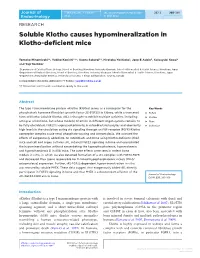 Soluble Klotho Causes Hypomineralization in Klotho-Deficient Mice