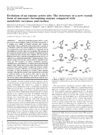 The Structure of a New Crystal Form of Muconate Lactonizing Enzyme Compared with Mandelate Racemase and Enolase