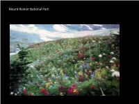 Vegetation Program