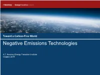 Negative Emissions Technologies
