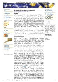 Post-Truth Protest: How 4Chan Cooked Up...Zagate Bullshit | Tuters
