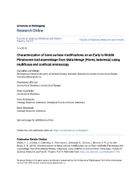 Characterization of Bone Surface Modifications On