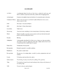 DAR Developer’S Assessment Report