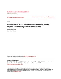 Macroevolution of Microhabitat, Climate, and Morphology in Lungless Salamanders (Family: Plethodontidae)