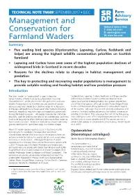 Management and Conservation for Farmland Waders