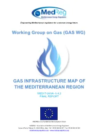 Gas Infrastructure Map of the Mediterranean Region