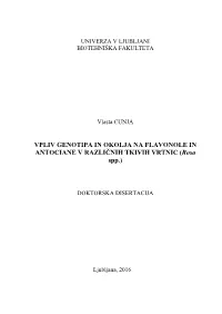 Dd Cunja Vlasta.Pdf