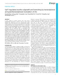 Upf1 Regulates Neurite Outgrowth and Branching by Transcriptional and Post-Transcriptional Modulation Of